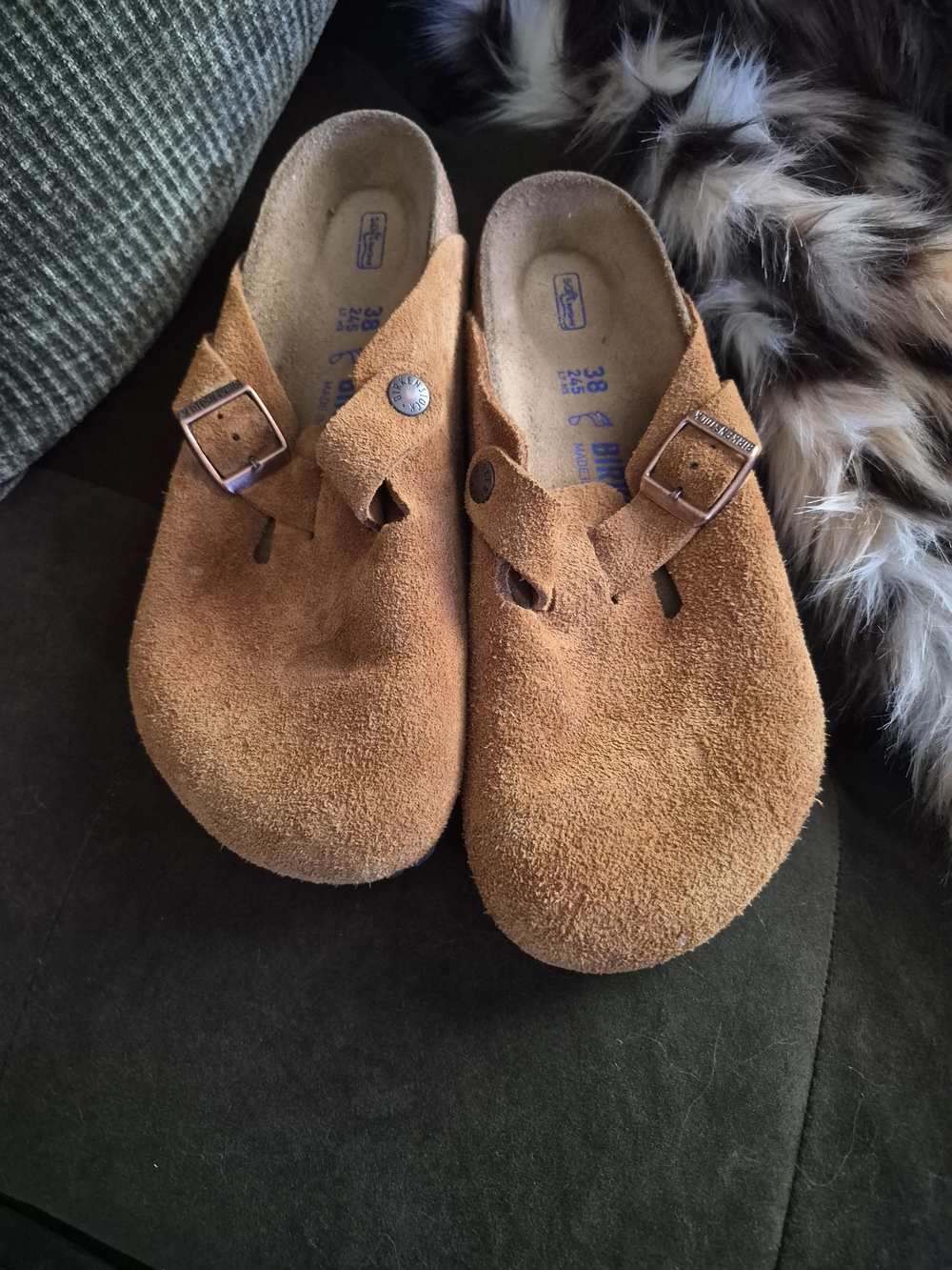 Birkenstock Women's Suede Clogs in Rusty Tan